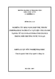 Khóa luận tốt nghiệp Sinh lý học người và động vật: Nghiên cứu khả năng hấp thụ thuốc Omeprazole Natri của vật liệu cellulose tạo ra từ Gluconacetobacter Xylinus trong môi trường nước vo gạo