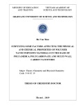 Thesis of Chemistry doctor: Surveying some factors affecting the physical and chemical properties of polymer nanocomposite materials on the basis of polyamide-6, polycarbonate and multi wall carbon nanotubes