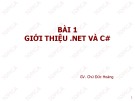 Bài giảng ngôn ngữ C#: Bài 1 - Chử Đức Hoàng