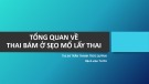 Bài giảng Tổng quan về thai bám ở sẹo mổ lấy thai