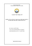 Luận văn Thạc sĩ Kỹ thuật: Nghiên cứu lọc tích cực trong mạng điện phân phối có xét đến điều kiện điện áp không đối xứng