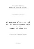 Luận án Tiến sĩ Vật lý: Rã vi phạm số Lepton thế hệ của Lepton mang điện ei- ejy trong mô hình Zee