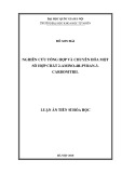 Luận án Tiến sĩ Hóa học: Nghiên cứu tổng hợp và chuyển hóa một số hợp chất 2-amino-4H-pyran-3-carbonitril