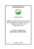 Luận văn Thạc sĩ Khoa học môi trường: Nghiên cứu đánh giá thực trạng tiếng ồn trong môi trường lao động tại Công ty Cổ phần Xi măng Tân Quang tỉnh Tuyên Quang