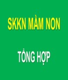 Sáng kiến kinh nghiệm Mầm non: Một số biện pháp khai thác và ứng dụng công nghệ thông tin vào hoạt động chăm sóc giáo dục trẻ 5-6 tuổi trường Mầm non Sơn Ca