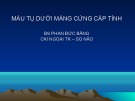 Bài giảng Máu tụ dưới màng cứng cấp tính