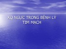 Bài giảng XQ ngực trong bệnh lý tim mạch