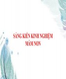 Sáng kiến kinh nghiệm Mầm non: Một số biện pháp giúp trẻ 24-36 tháng tuổi làm quen với môn nhận biết tập nói