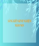 Sáng kiến kinh nghiệm Mầm non: Một số kinh nghiệm day trẻ  25 - 36 tháng về Nhận biết tập nói