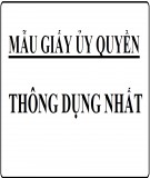 Tuyển tập 8 mẫu giấy ủy quyền thông dụng nhất hiện nay