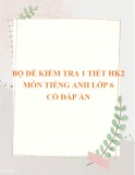 Bộ 9 đề kiểm tra 1 tiết học kì 2 môn Tiếng Anh lớp 6 có đáp án