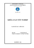 Khóa luận tốt nghiệp Kế toán – Kiểm toán: Hoàn thiện công tác kế toán vốn bằng tiền tại Công ty CP vận tải taxi Cát Bi