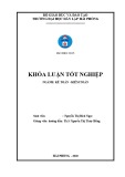 Khóa luận tốt nghiệp Kế toán - Kiểm toán: Hoàn thiện tổ chức công tác kế toán hàng hóa tại công ty cổ phần đầu tư khoáng sản Việt Long