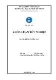 Khóa luận tốt nghiệp Kế toán – Kiểm toán: Hoàn thiện công tác kế toán doanh thu, chi phí và xác định kết quả kinh doanh tại Công ty cổ phần đầu tư xây lắp điện Hải Phòng