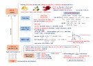 Tóm tắt lý thuyết Hóa học lớp 12