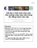 Bài giảng Cắt lớp vi tính tưới máu não: Tiên lượng chảy máu não trong tắc động mạch não cấp - Trung tâm Điện Quang Bạch Mai