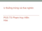 Bài giảng U buồng trứng và thai nghén - PGS. TS. Phạm Huy Hiền Hào