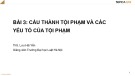 Bài giảng Luật Hình sự: Bài 3 - ThS. Lưu Hải Yến