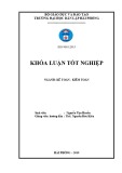 Khóa luận tốt nghiệp Kế toán – Kiểm toán: Hoàn thiện tổ chức kế toán người mua người bán tại Công ty cổ phần công nghiệp điện Hải Phòng