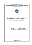 Khóa luận tốt nghiệp Việt Nam học: Khai thác E-marketing (marketing online) trong quảng bá, xúc tiến du lịch - Áp dụng tại công ty cổ phần du lịch Hạ Long, Quảng Ninh