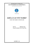 Khóa luận tốt nghiệp Việt Nam học: Thực trạng kinh doanh du lịch và những giải pháp nhằm nâng cao chất lượng của hệ thống khách sạn, nhà nghỉ ở Cát Bà