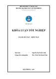 Khóa luận tốt nghiệp Kế toán – Kiểm toán: Hoàn thiện công tác kế toán nguyên vật liệu tại Công ty cổ phần giấy Hải Phòng