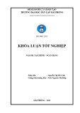 Khóa luận tốt nghiệp Tài chính - Ngân hàng: Một số biện pháp cải thiện tình hình tài chính tại Công ty cổ phần thương mại và dịch vụ xuất nhập khẩu Hải Phòng