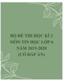 Bộ đề thi học kì 2 môn Tin học lớp 6 năm 2019-2020 (Có đáp án)