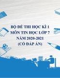 Bộ đề thi học kì 1 môn Tin học lớp 7 năm 2020-2021 (Có đáp án)