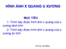 Bài giảng Hình ảnh X quang u xương - ThS Chu Văn Đặng