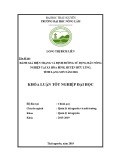 Khóa luận tốt nghiệp: Đánh giá hiện trạng sử dụng đất và định hướng sử dụng đất nông nghiệp trên địa bàn xã Hòa Bình, huyện Hữu Lũng, tỉnh Lạng Sơn năm 2018