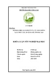 Khóa luận tốt nghiệp: Đánh giá hiệu quả kinh tế của cây dong  riềng tại xã Phúc Lộc, huyện Ba Bể, Tỉnh Bắc Kạn