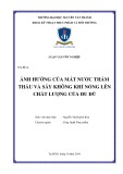 Luận văn tốt nghiệp Công nghệ thực phẩm: Ảnh hưởng của mất nước thẩm thấu và sấy không khí nóng lên chất lượng của đu đủ