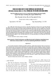 Nâng cao năng suất và sinh trưởng hệ sợi nấm đầu khỉ (Hericium erinaceus (Bull.: Fr.) Pers) thông qua tối ưu điều kiện dinh dưỡng