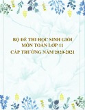 Bộ 12 đề thi học sinh giỏi môn Toán lớp 11 cấp trường năm 2020-2021
