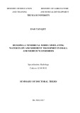 Summary of doctoral thesis: Building numerical model to simulate the flow and sediment transport on small and medium watershed