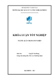 Khóa luận tốt nghiệp Quản trị doanh nghiệp: Một số giải pháp nâng cao hiệu quả sử dụng nguồn nhân lực tại Công ty bảo hiểm PJICO Hải Phòng – Tổng Công ty cổ phần bảo hiểm Petrolimex