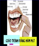 Giáo trình Răng hàm mặt: Phần 1