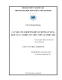 Luận văn Thạc sĩ Kinh tế: Các nhân tố ảnh hưởng đến xu hướng sử dụng dịch vụ 3G – Nghiên cứu thực tiễn tại Tp. Bến Tre