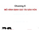 Bài giảng Đầu tư tài chính: Chương 5 - PGS.TS Trần Thị Thái Hà