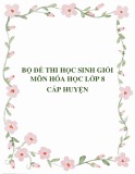 Bộ đề thi học sinh giỏi môn Hóa học lớp 8 cấp huyện