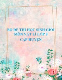 Bộ đề thi học sinh giỏi môn Vật lí lớp 8 cấp huyện