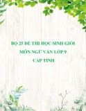 Bộ 25 đề thi học sinh giỏi môn Ngữ văn lớp 9 cấp tỉnh