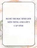 Bộ đề thi học sinh giỏi môn Tiếng Anh lớp 9 cấp tỉnh