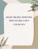 Bộ đề thi học sinh giỏi môn Tin học lớp 9 cấp huyện