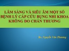 Bài giảng Lâm sàng và siêu âm một số bệnh lý cấp cứu bụng nhi khoa không do chấn thương - Bs. Nguyễn Văn Phương