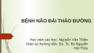 Bài giảng Bệnh não đái tháo đường - HVCH. Nguyễn Văn Thiên