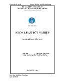 Khóa luận tốt nghiệp Kế toán – Kiểm toán: Hoàn thiện công tác kế toán doanh thu, chi phí và xác định kết quả kinh doanh tại Công ty cổ phần dịch vụ sản xuất và thương mại Hùng Nhung