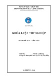 Khóa luận tốt nghiệp Kế toán – Kiểm toán: Hoàn thiện tổ chức công tác kế toán thanh toán với người mua người bán tại Công ty cổ phần 19-9