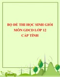 Bộ đề thi học sinh giỏi môn GDCD lớp 12 cấp tỉnh